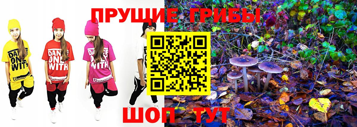 Галлюциногенные грибы прущие грибы Гусиноозёрск