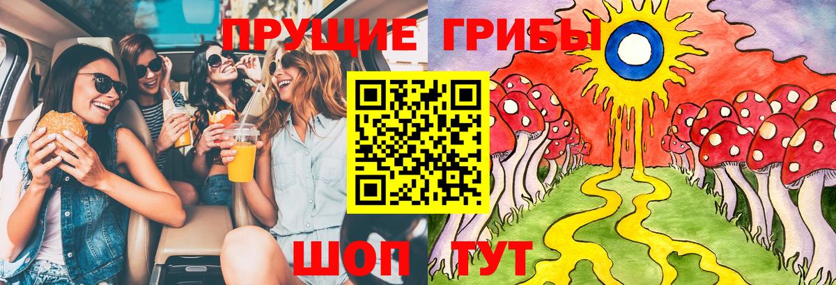 Гусиноозёрск  Галлюциногенные грибы прущие грибы  Вход с VPN 